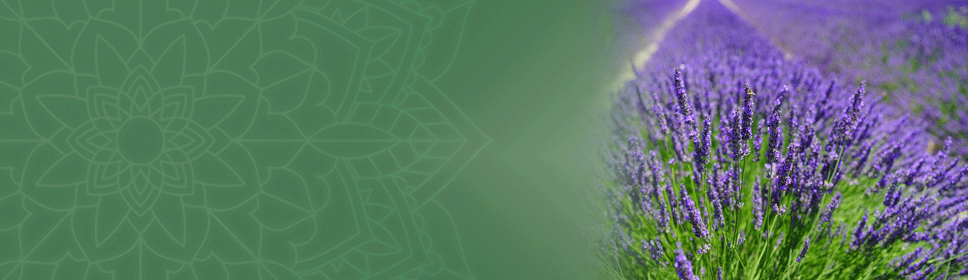 Aromaterapia Vedica Maharish